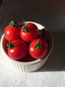 First Tomatoes 